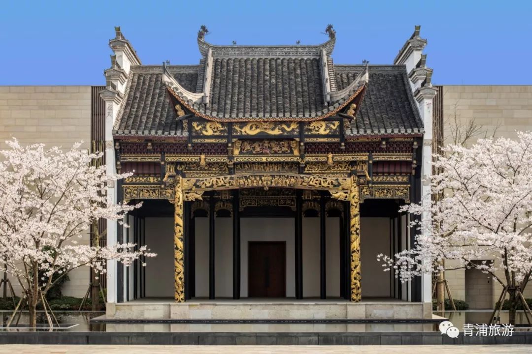 梅时莓刻惊蛰春！这一份青浦春游完整版攻略请收好~