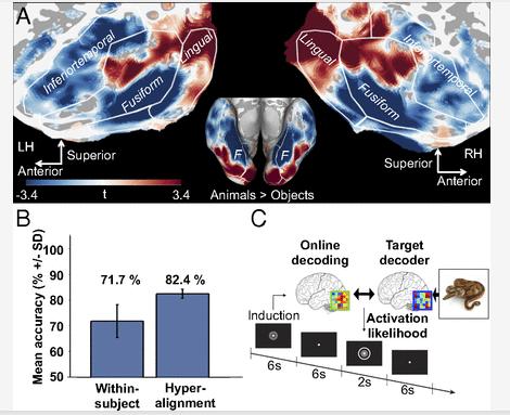 血液抗癌疗法,血液治疗癌症