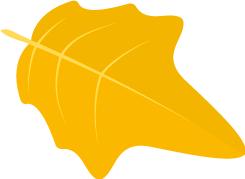 一天放几十个屁身体有病吗,长期每天都得放几十个屁正常吗