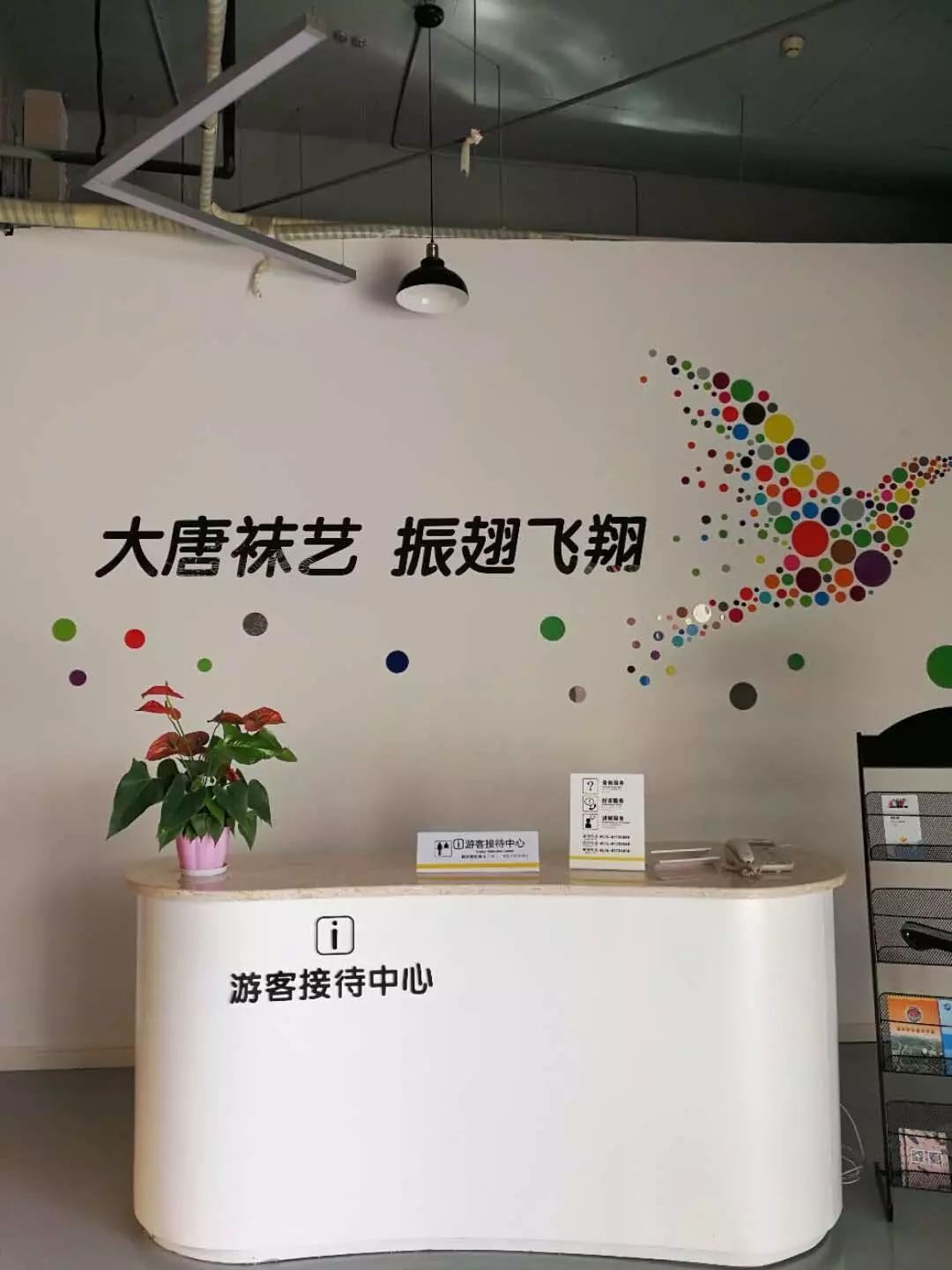 「浙江40年」大唐织梦袜子开花