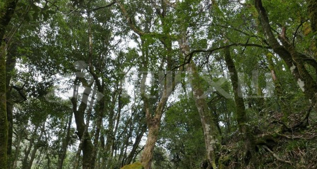 第一高山歌曲,第一高山在哪