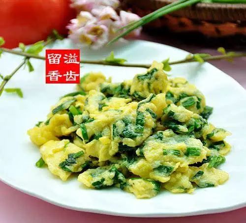 又是一年摘野菜季节,赣州有哪些野菜