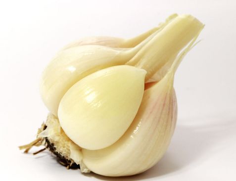 驱虫药有什么功效,驱虫药的功效