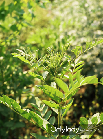 掌握这些小技巧皮肤美白不困扰,日常美白小窍门让肌肤悄然变白