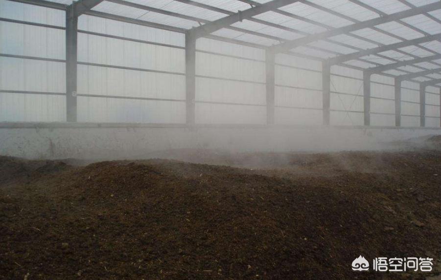 苹果树改造新法,苹果树废枝加工