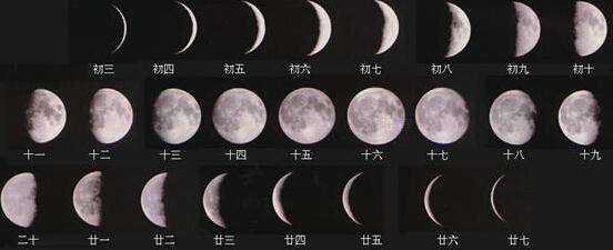 农历和阳历哪个才算是新年,大年初一是阴历还是阳历