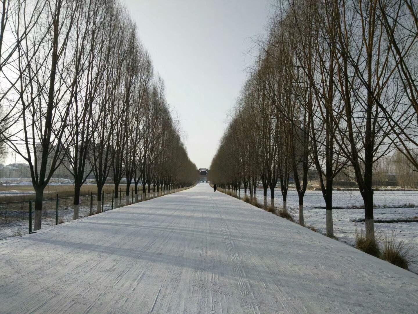 寒冷冬天来杯暖心茶,寒冷冬天里的一杯暖心茶