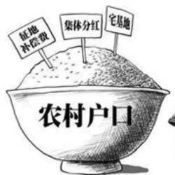 是否跟随政策的脚步，放弃农村户口，加入城镇户口？？