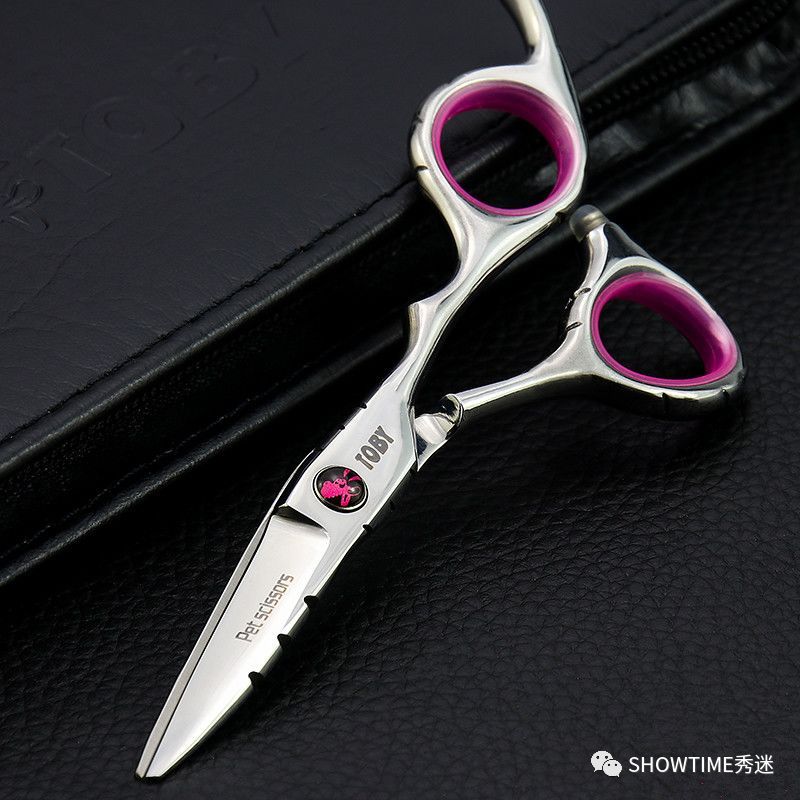 新手铲屎官养宠物该怎么办,怎么成为合格的养狗铲屎官