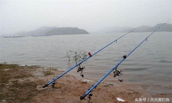 钓大鲫鱼绝招最佳方法,冬季钓鲫鱼大水面如何打窝