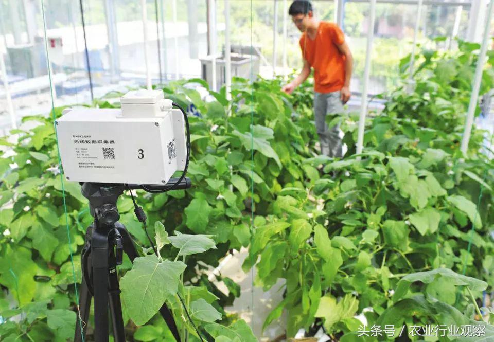 互联网农业创业技巧大全,农业互联网创业盈利的三种模式