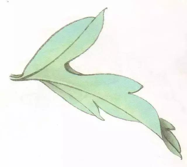 工笔画粉红花染色步骤,10分钟学会工笔画花朵染色