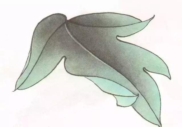 工笔画粉红花染色步骤,10分钟学会工笔画花朵染色