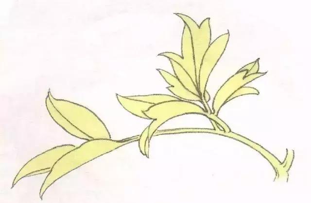 工笔画粉红花染色步骤,10分钟学会工笔画花朵染色