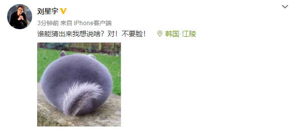 中国短道被黑,中国短道速滑最新新闻