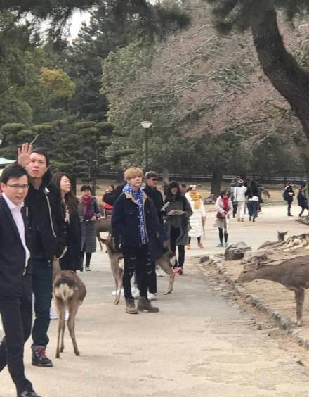 鹿晗带关晓彤见陈赫邓超,鹿晗看范丞丞关晓彤