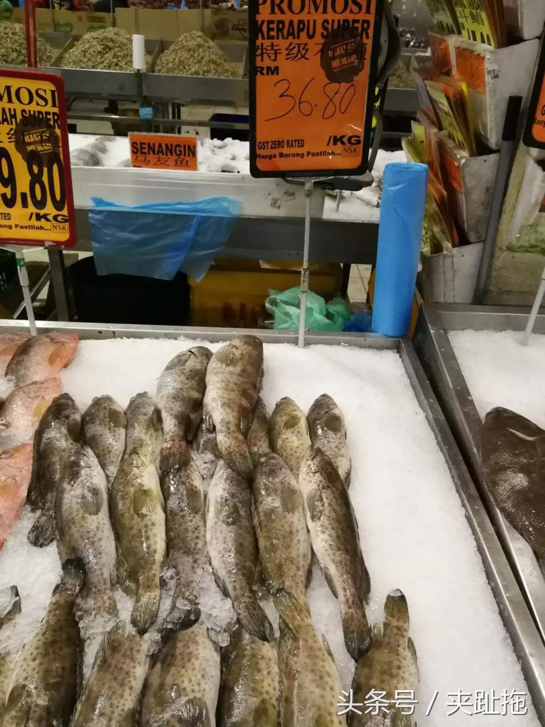 在马来西亚100块钱能买什么,人民币1000元在吉隆坡能买啥