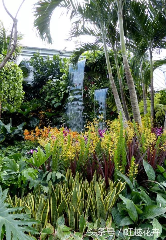 花卉界“奥斯卡”切尔西花展：无限美的花园设计是怎样的？