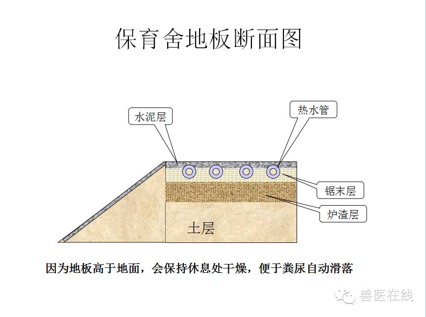 猪场刮粪机排粪沟设计图,100头母猪猪场设计图