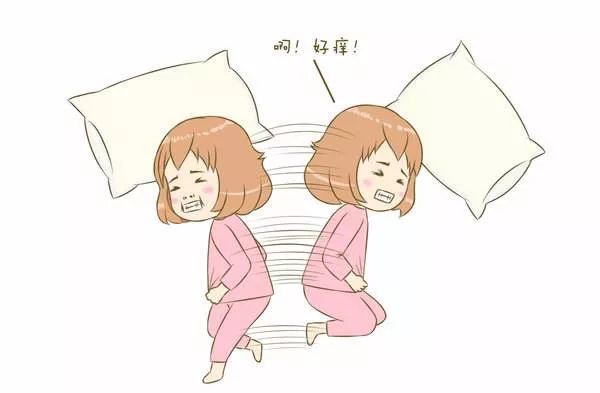 澳洲虫子到底有多可怕,澳洲虫子有多可怕