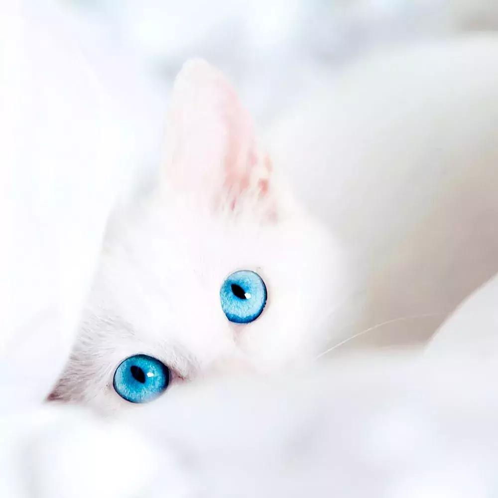 适合当朋友圈背景壁纸的图片,壁纸朋友圈背景图一束光原图