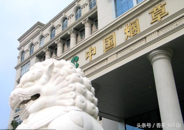 全国*草烟**公司工资曝光，这种待遇，你确定不去考吗？