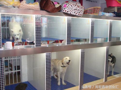 小本创业加盟赚钱点子大全,创业小本投资什么最好见效