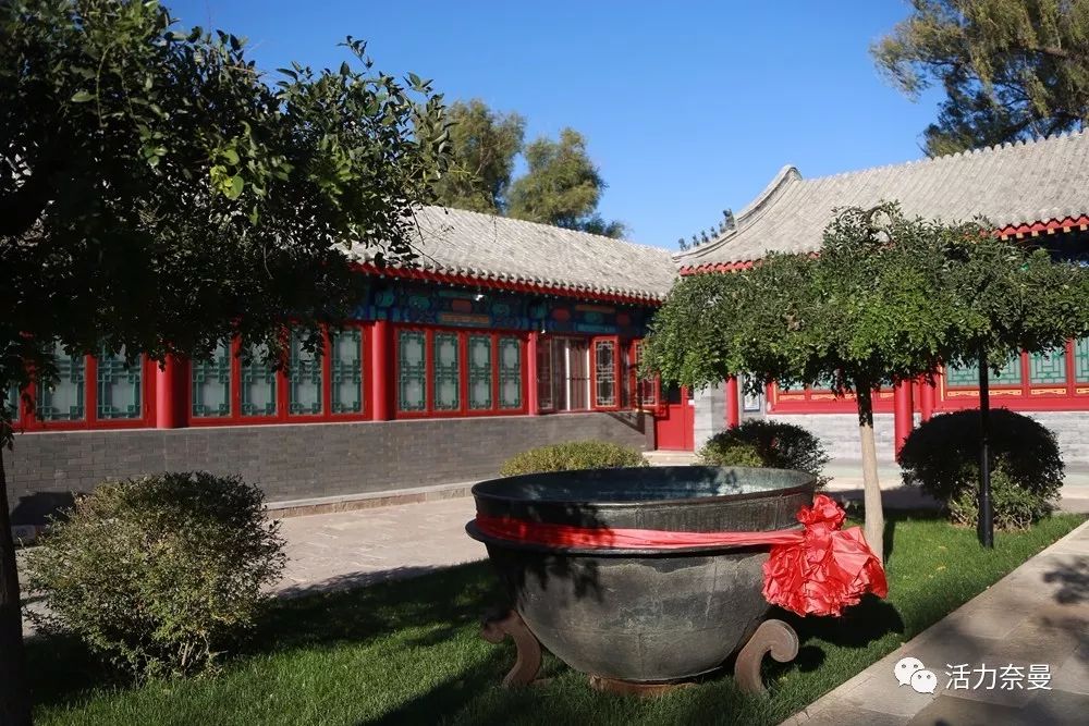 45万人的名片,太漂亮了!!《奈曼人的名片》最新版,45万次!!!精工打造!!!