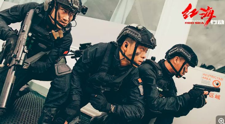 你知道红海行动有多细节吗,红海行动石头脸被打破细节