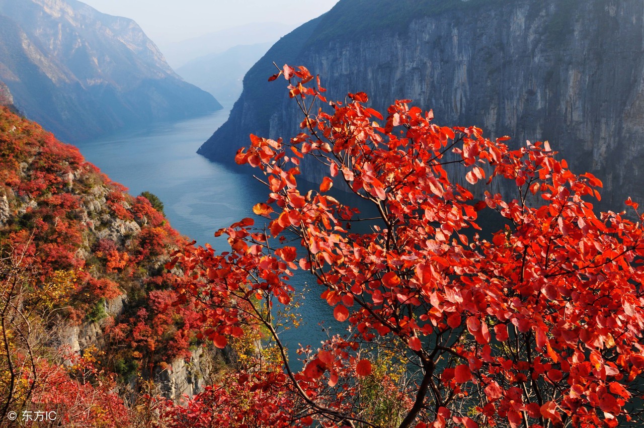 古筝适合初学左右手练习的曲子,古筝指法慢弹的视频