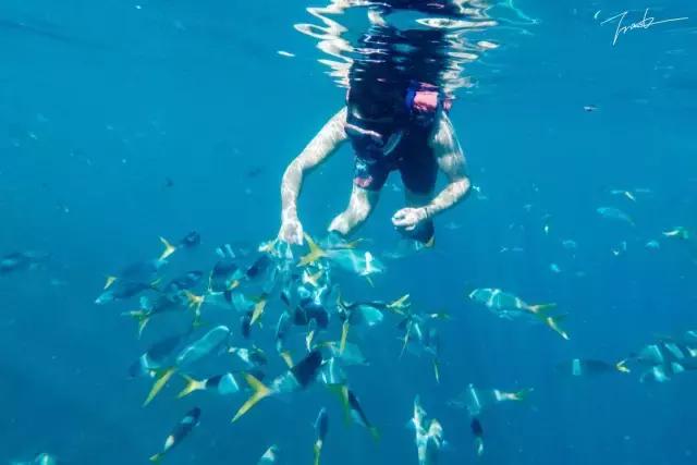 帕劳去玩的人多吗,帕劳到巴厘岛