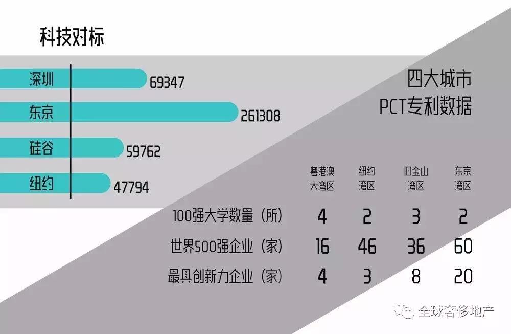 省政府马省长,马省长广东