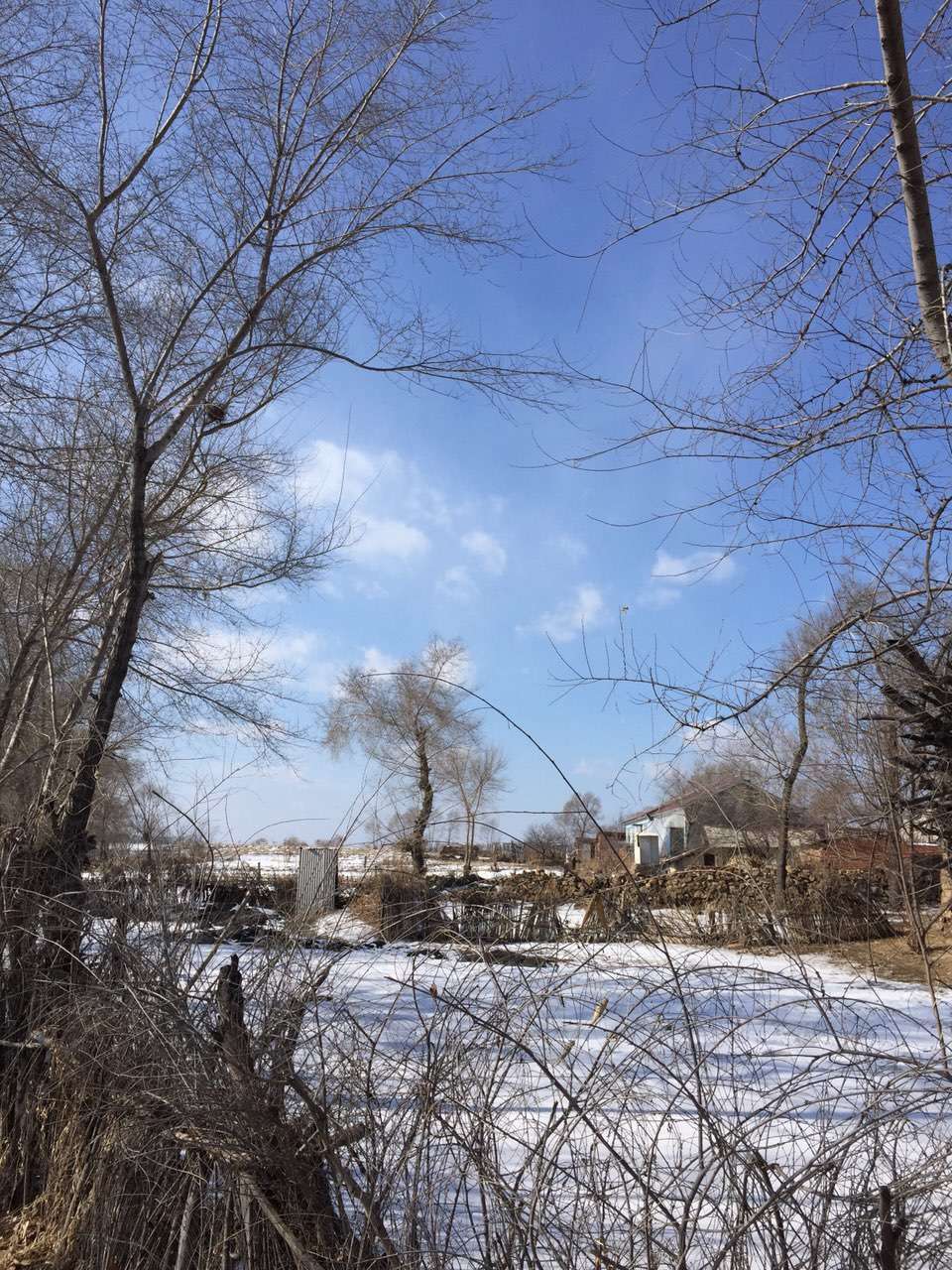 北漂独居生活真实感受,北漂住出租屋的真实感受