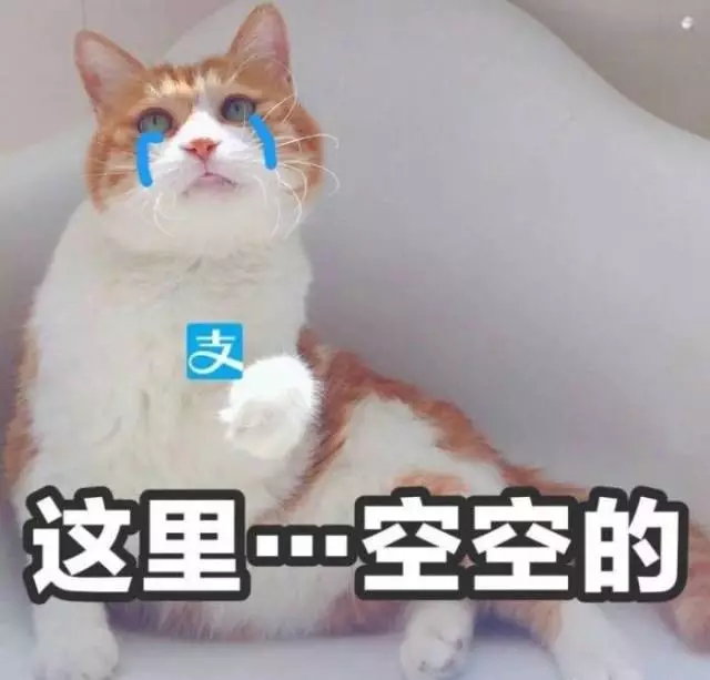 直男科普：香奶奶萝卜丁小灯泡小羊皮是什么意思？败家指数大测试