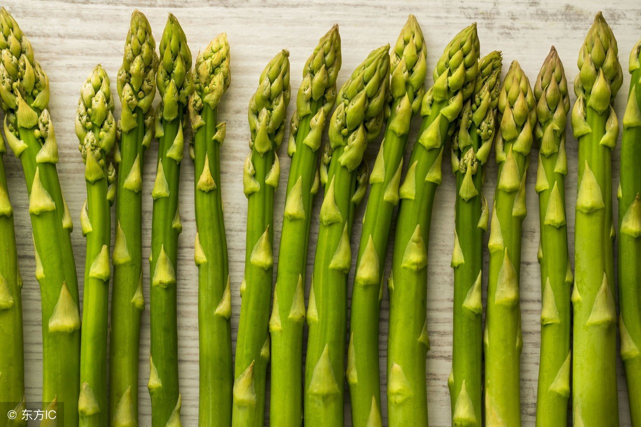 芦笋高产栽培技术,芦笋高产栽培技术分析
