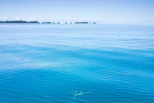 帕劳深度游出海,帕劳深潜体验