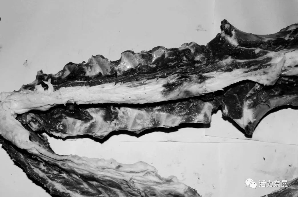 45万人的名片,太漂亮了!!《奈曼人的名片》最新版,45万次!!!精工打造!!!