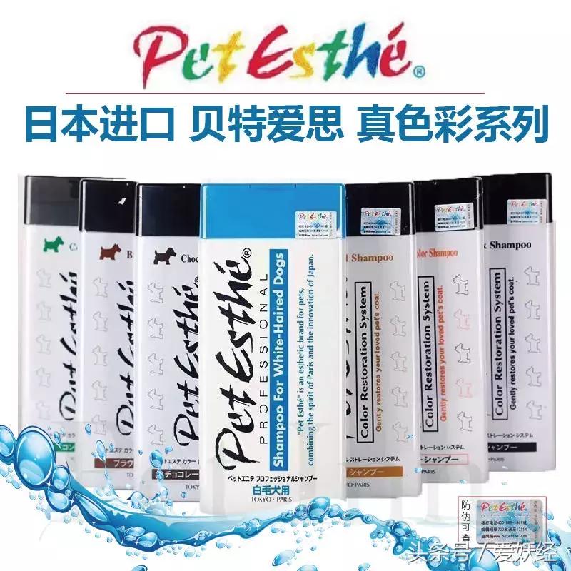 宠物洗护合集,宠物洗护攻略