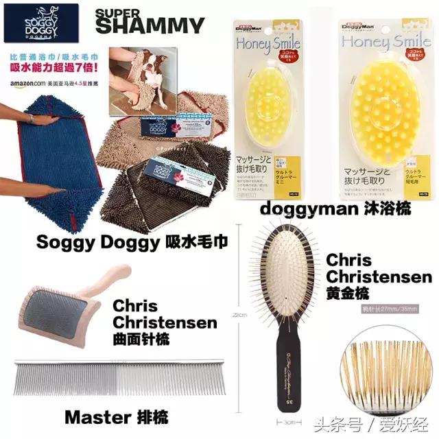 宠物洗护合集,宠物洗护攻略