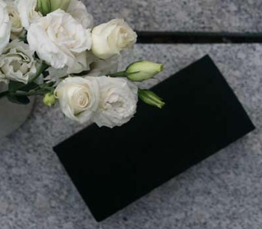 苔藓球植物养殖方法,苔藓球种植方法视频