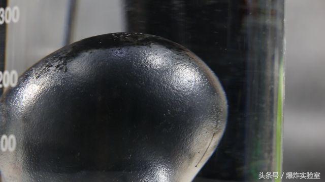 黑蛋为什么那么厉害,黑蛋到底有多聪明