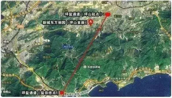 2018年，深圳人的身价将暴涨！看完你绝对不想离开！