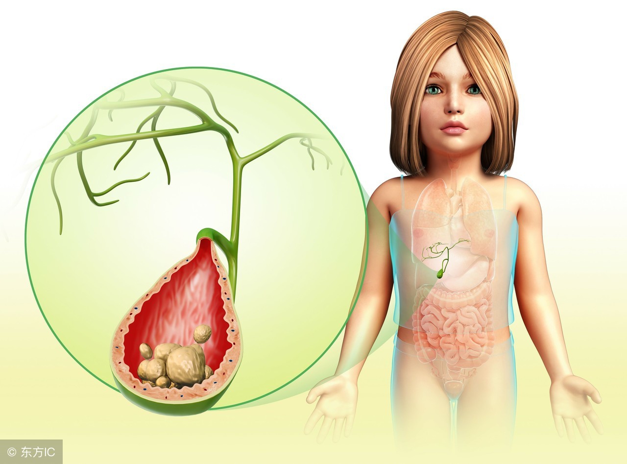 女性营养不良调理食谱,女子长期营养不良