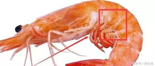 胶东四季的时令海鲜表,老渔民告诉你应季海鲜