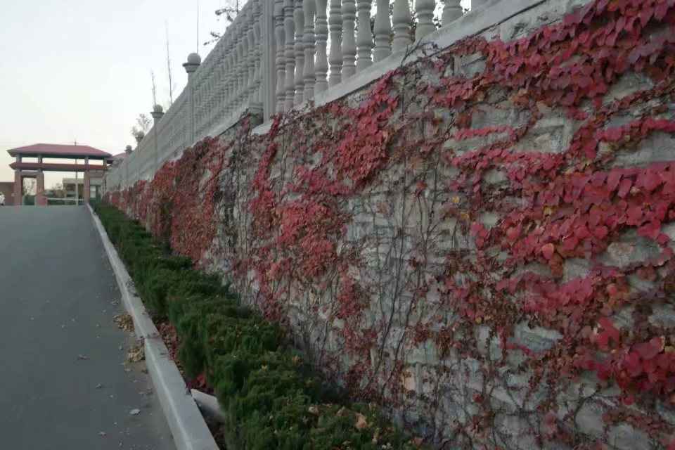 专科过后人生该怎么走,专科人生发展道路