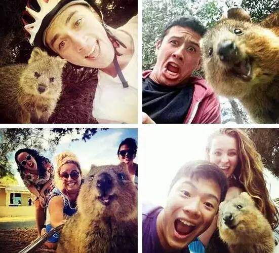 澳洲签证体检后多久签证可以获批,澳洲820签证转801签证需要多久