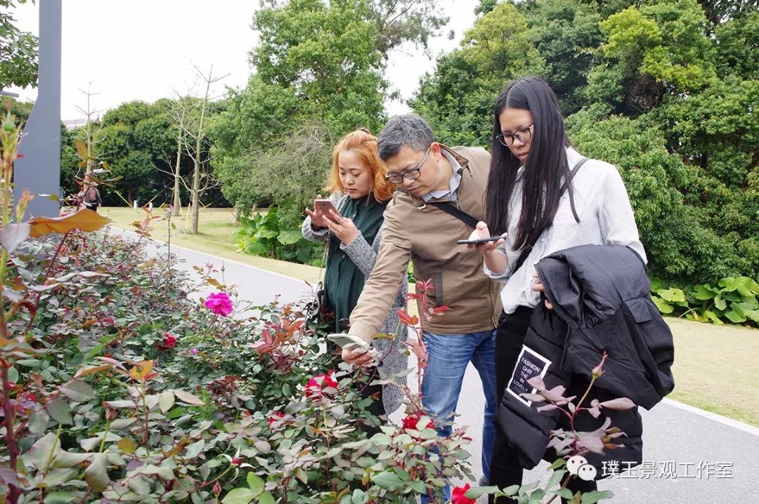 2019年香蜜湖公园,最新香蜜公园视频