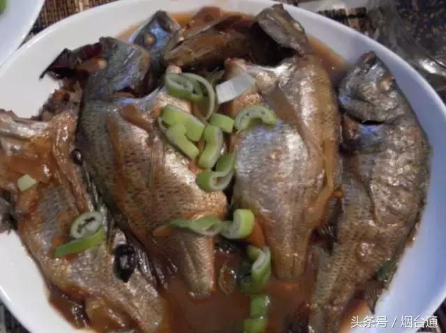 胶东四季的时令海鲜表,老渔民告诉你应季海鲜