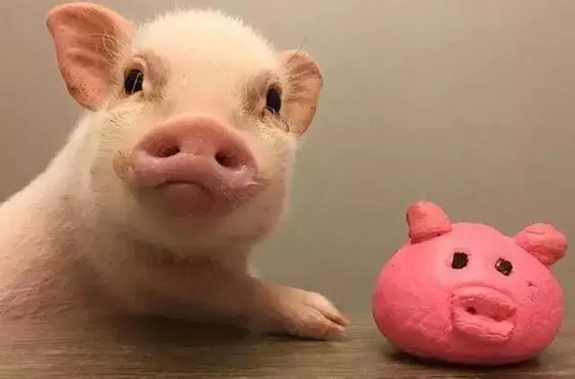 睡觉穿一只袜子,睡觉时穿一个袜子