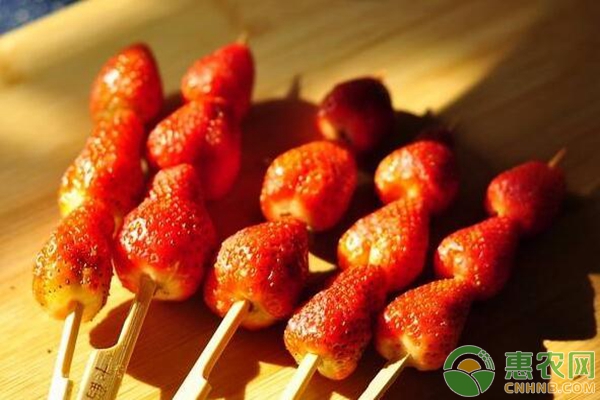 草莓冰糖葫芦卖多少钱一串,草莓冰糖葫芦成本价